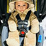 baby, car_seat, child, closeup, cute, expressionless, fuzzy_clothing, harness, hood, indoor, infant, onesie, person, plush, protective_gear, safety, seated, soft_texture, straps, wide_eyes