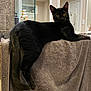 cat, black_cat, towel, bathroom, mirror, soap_dispensers, tile_wall, yellow_eyes, feline, pet, indoor, curious, relaxed, fur, animal, domestic_cat, resting, countertop, household, cleaning_products
