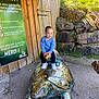 child, boy, statue, turtle, outdoor, sculpture, blue_sweater, white_sneakers, wooden_wall, sign, rocks, grass, smiling, playful, nature, daylight, casual_clothing, young_child, happy, posing