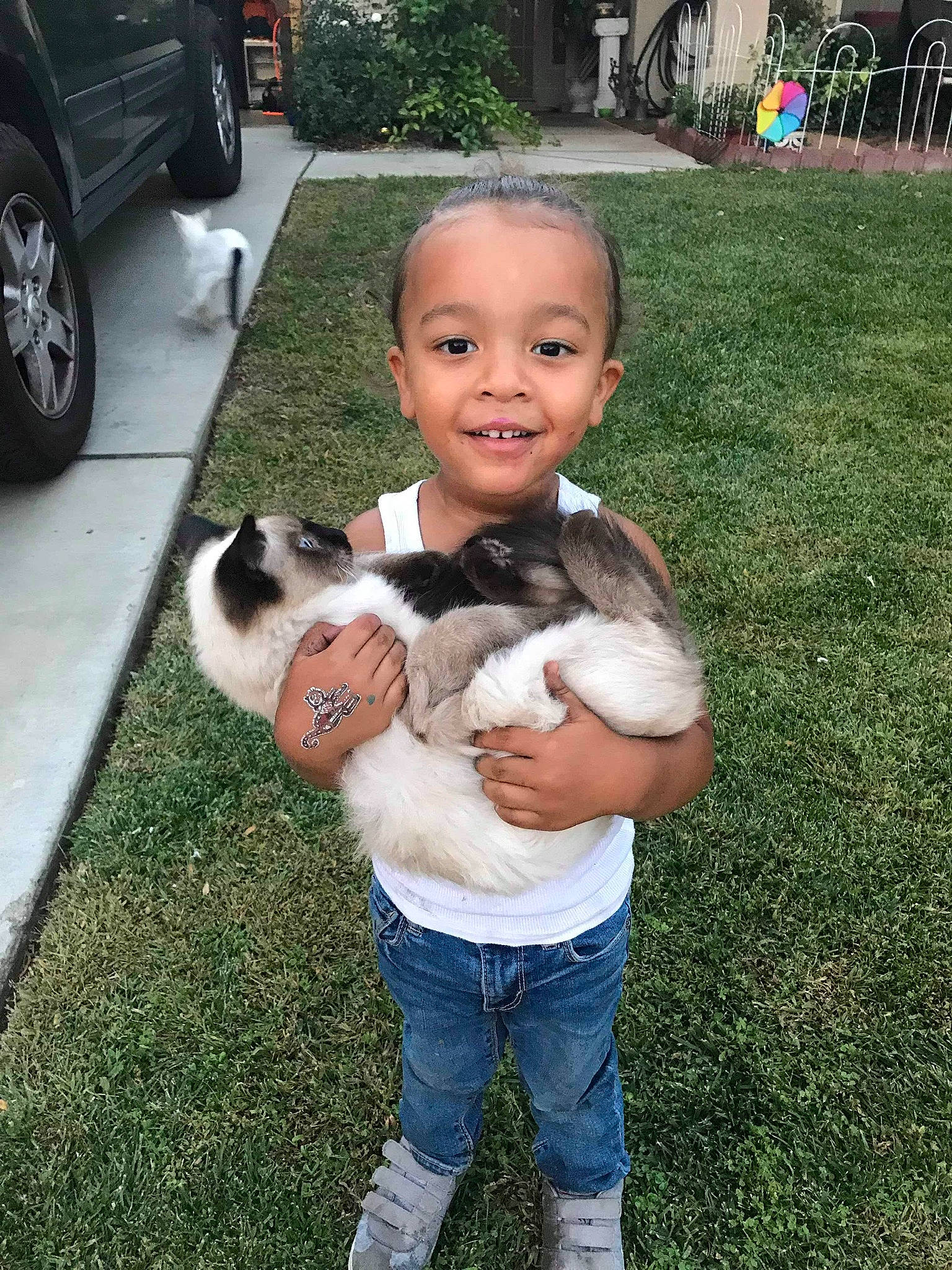 Kavon joined the competition — help win amazing prizes! child, dog, dog_breed, dog_breed_group, dog_like_mammal, fun, fur, grass, infant, joy, lawn, mammal, person, play, product, puppy, skin, toddler, vertebrate