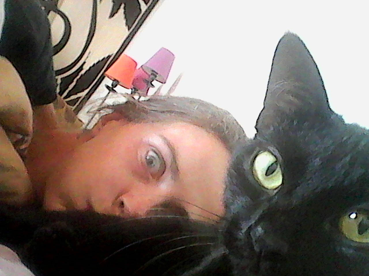 Minuss a rejoint le concours — aidez-le/la à gagner de superbes lots ! beard, black_hair, carnivore, cat, comfort, cool, ear, eyebrow, eyelash, eyewear, felidae, forehead, head, iris, jaw, lip, mouth, nose, small_to_medium_sized_cats, vision_care