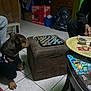 dog, chessboard, ottoman, tile_floor, person, table, clothing, indoor, board_game, pet, sitting, hand, drawer, bag, box, floor, room, casual, watching, black_shirt