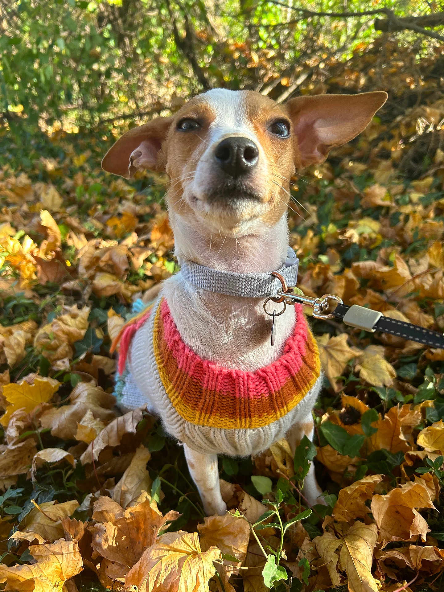 Marley