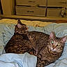 Nova Grace is registered to the contest to win money with this photo: