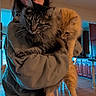 person, cat, tabby_cat, ginger_cat, indoor, kitchen, wooden_floor, cabinets, holding, happy, pets, feline, cute, casual_clothing, shorts, long_hair, home, domestic_animals, smiling, cozy