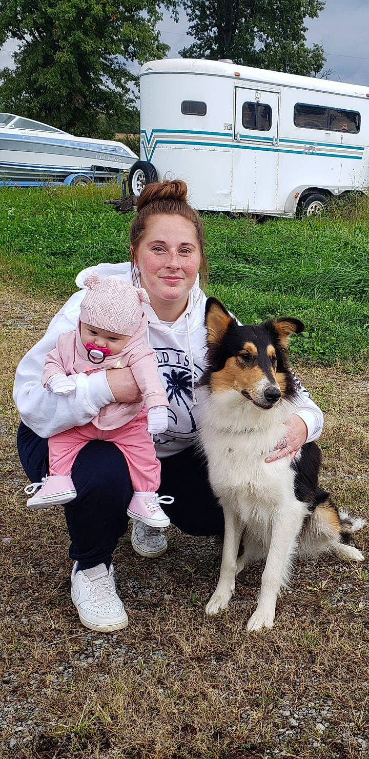 Marlee is registered to the contest to win money with this photo: automotive_exterior, canidae, car, carnivore, chair, companion_dog, dog, dog_breed, family_car, fur, headwear, herding_dog, joy, person, plant, smile, sporting_group, sunglasses, tire, toddler