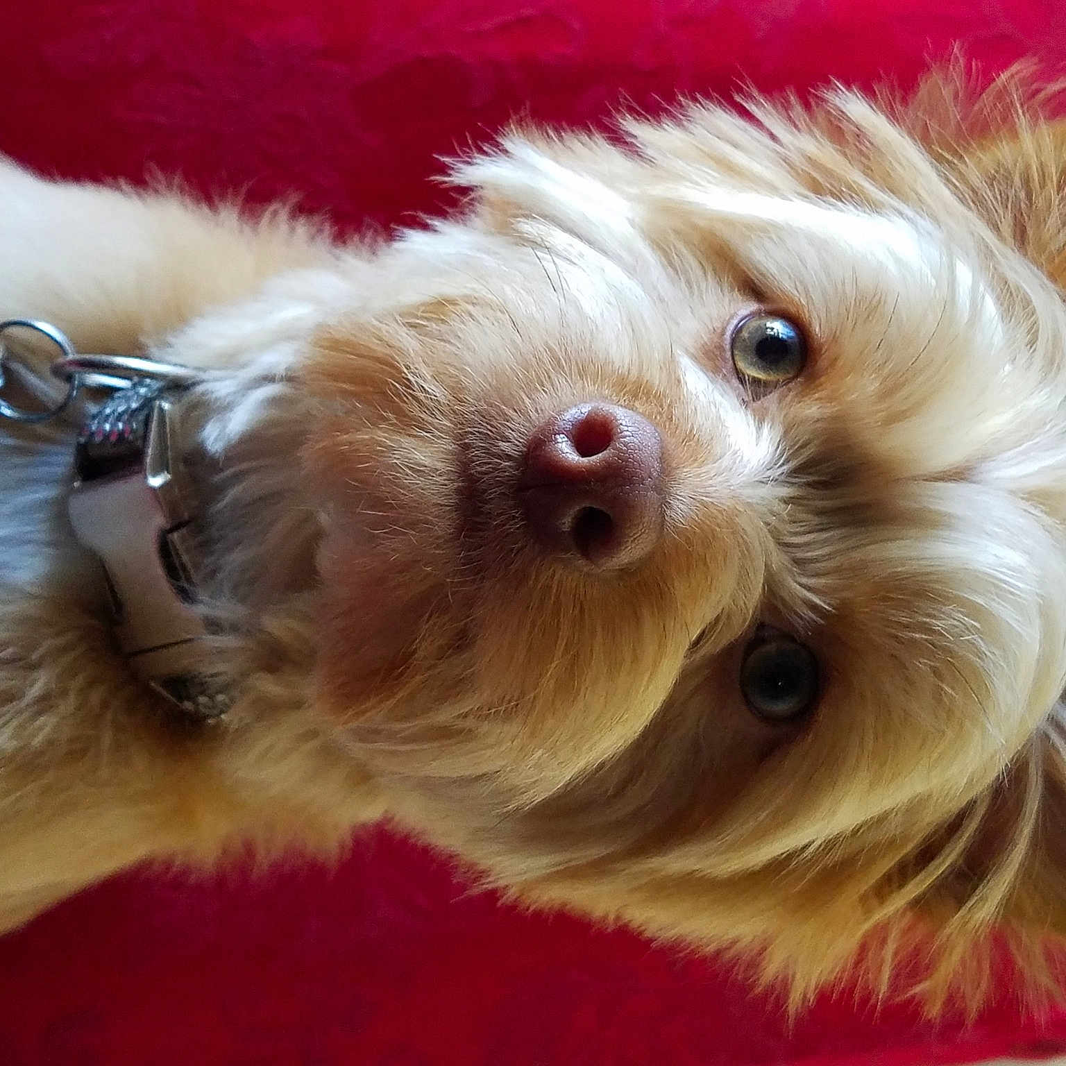Zoe