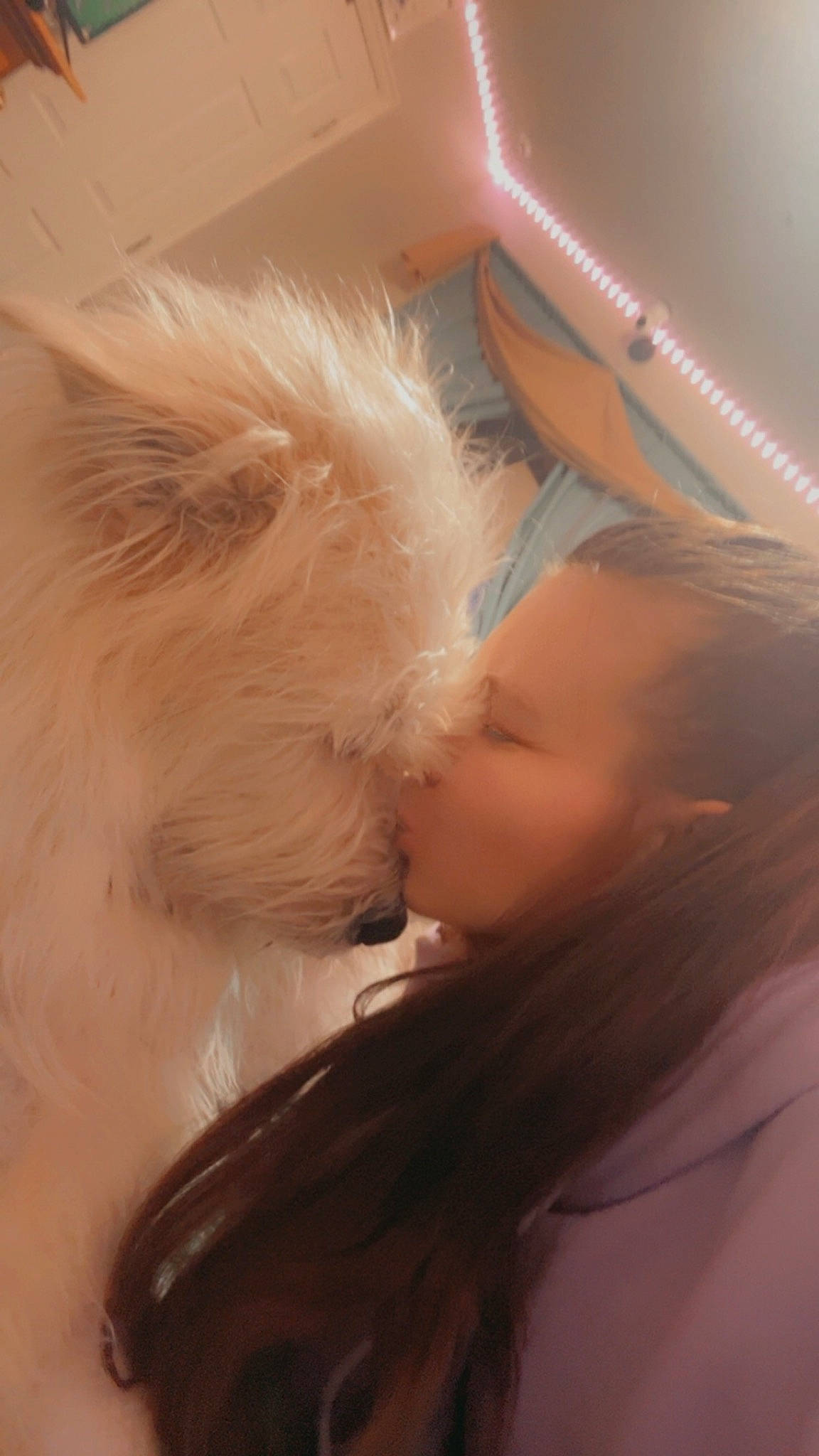 Luna Rose is registered to the contest to win money with this photo: beard, carnivore, chest, comfort, companion_dog, ear, eyelash, felidae, fur, gesture, happy, human_body, jaw, kiss, long_hair, neck, selfie, small_to_medium_sized_cats, sunglasses, whiskers