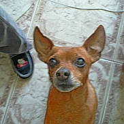 Zebulon participe au concours pour gagner de l'argent avec cette photo :