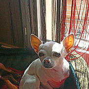 Bianca participe au concours pour gagner de l'argent avec cette photo :