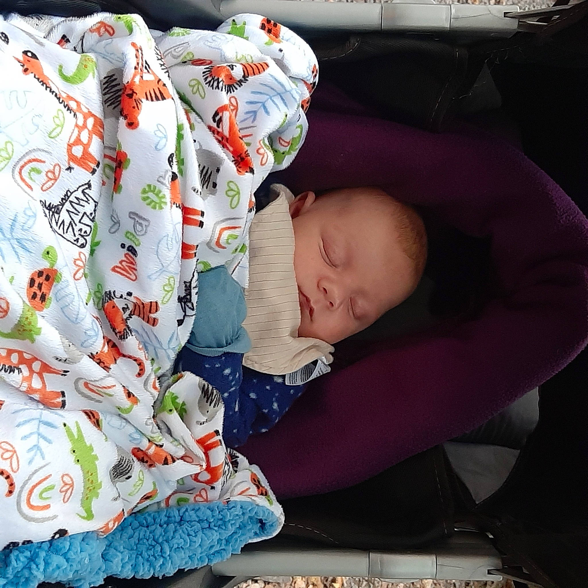 Ryder is registered to the contest to win money with this photo: baby, baby_carriage, baby_in_car_seat, baby_products, baby_safety, baby_sleeping, baby_toddler_clothing, car_seat, carmine, child, comfort, happy, linens, nap, pattern, person, room, sitting, sleep, sleeve