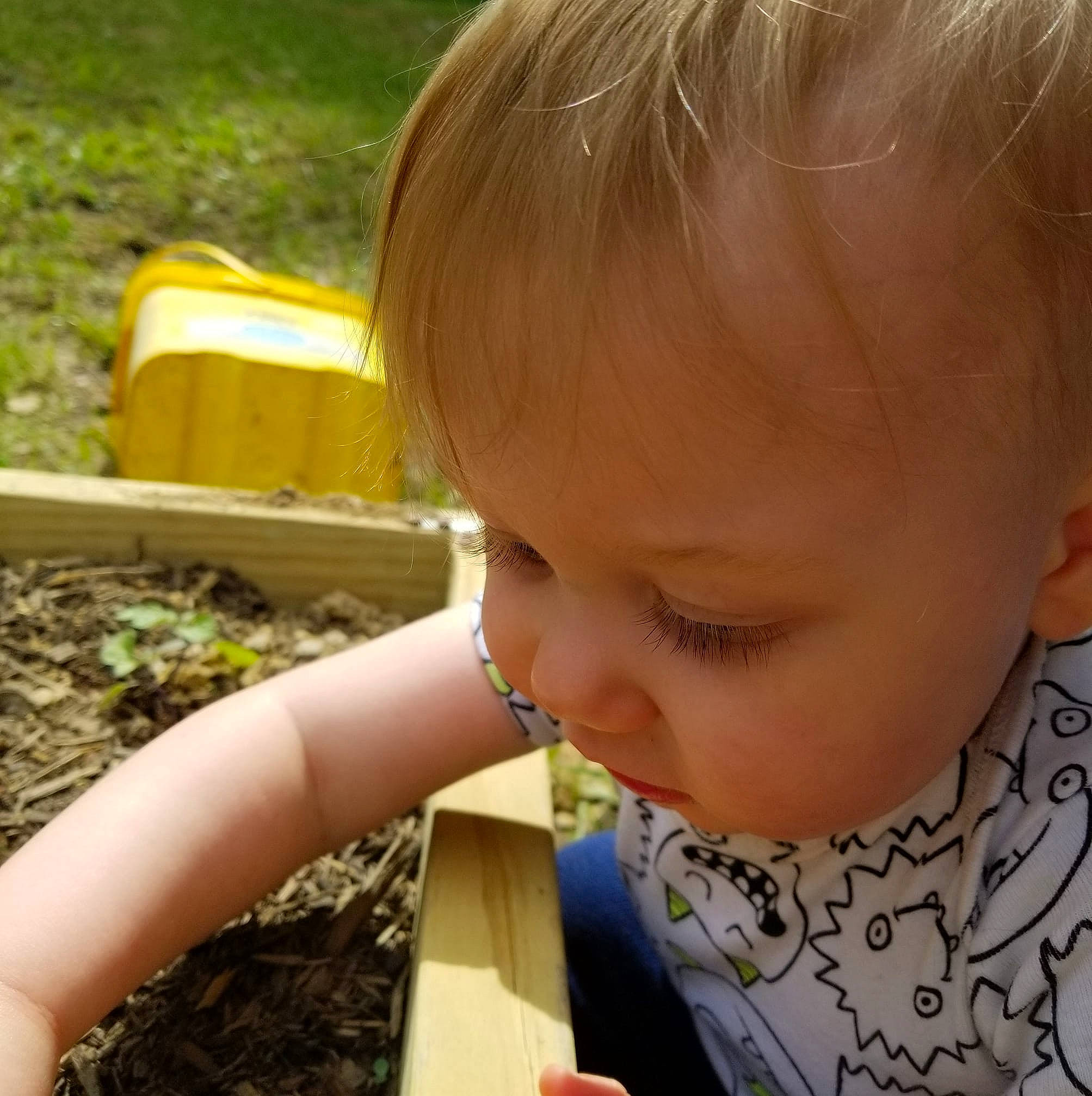 Jerrick is registered to the contest to win money with this photo: baby, baby_toddler_clothing, brown_hair, cheek, child, compost, ear, head, people_in_nature, person, skin, soil, toddler