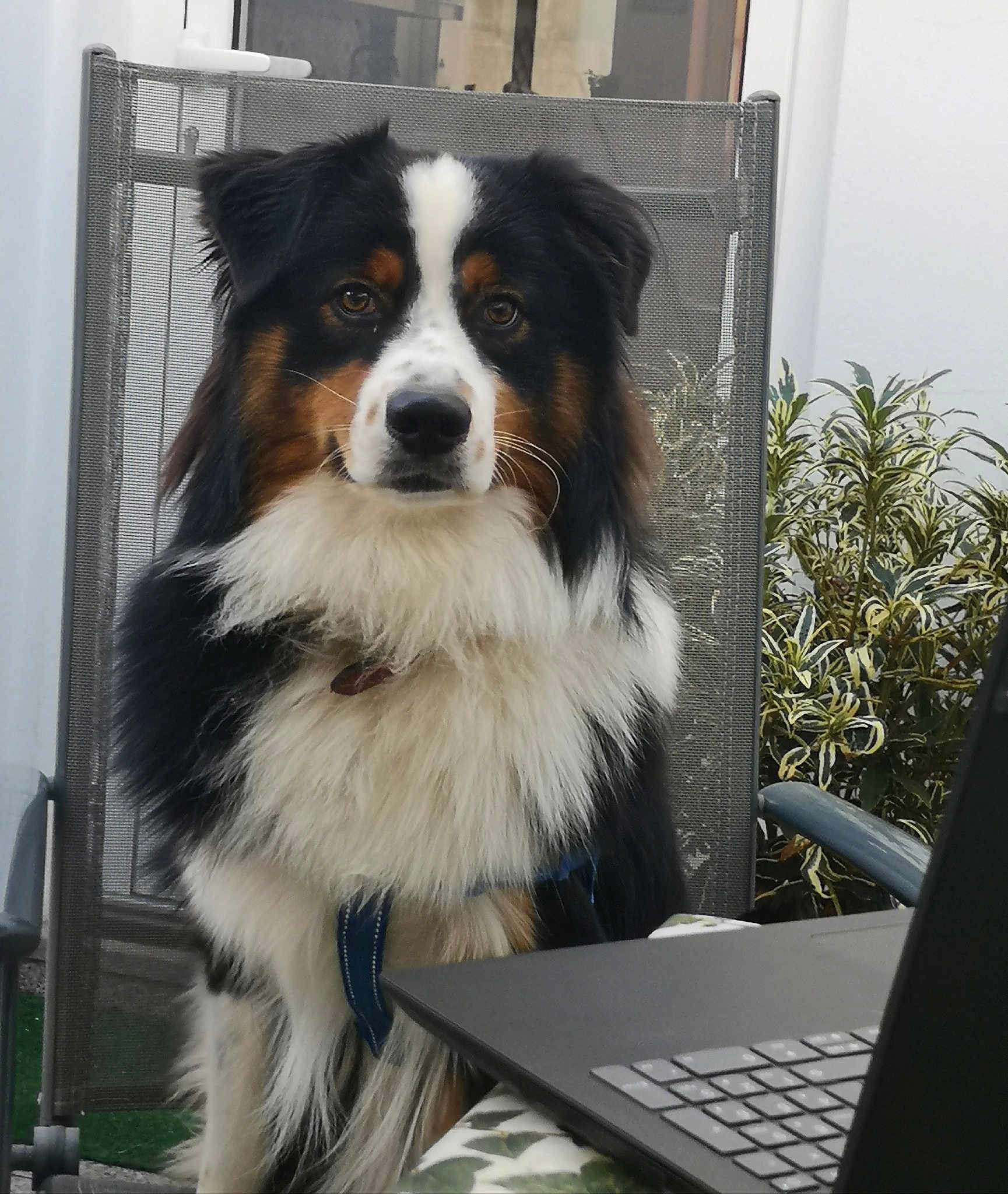 Paolo
