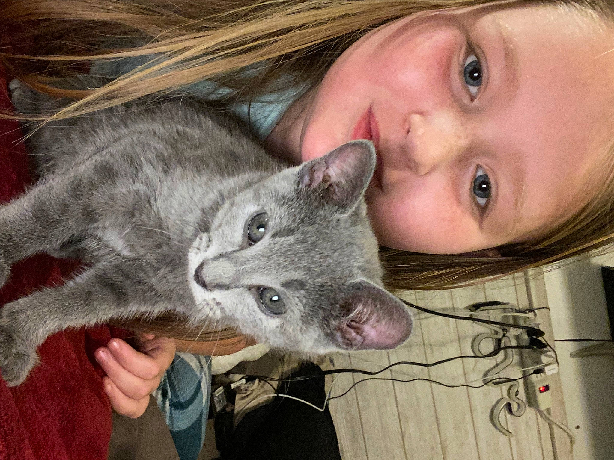Farrah joined the competition — help win amazing prizes! carnivore, cat, domestic_short_haired_cat, ear, eyelash, fawn, felidae, fur, happy, iris, mammal, nose, plant, portrait_photography, russian_blue, small_to_medium_sized_cats, smile, snout, vertebrate, whiskers