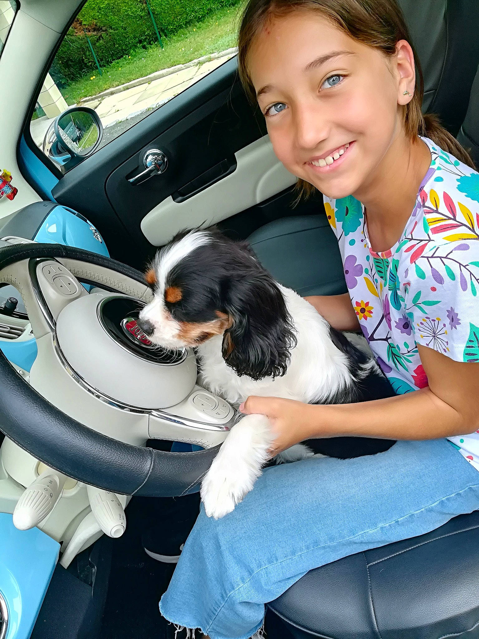 Chloé a rejoint le concours — aidez-le/la à gagner de superbes lots ! auto_part, automotive_design, automotive_exterior, car, car_seat, car_seat_cover, carnivore, companion_dog, dog, dog_breed, happy, head_restraint, joy, motor_vehicle, person, personal_luxury_car, seat_belt, smile, steering_wheel, vehicle