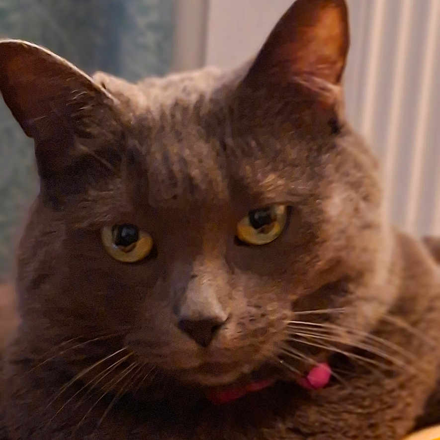 Minnie