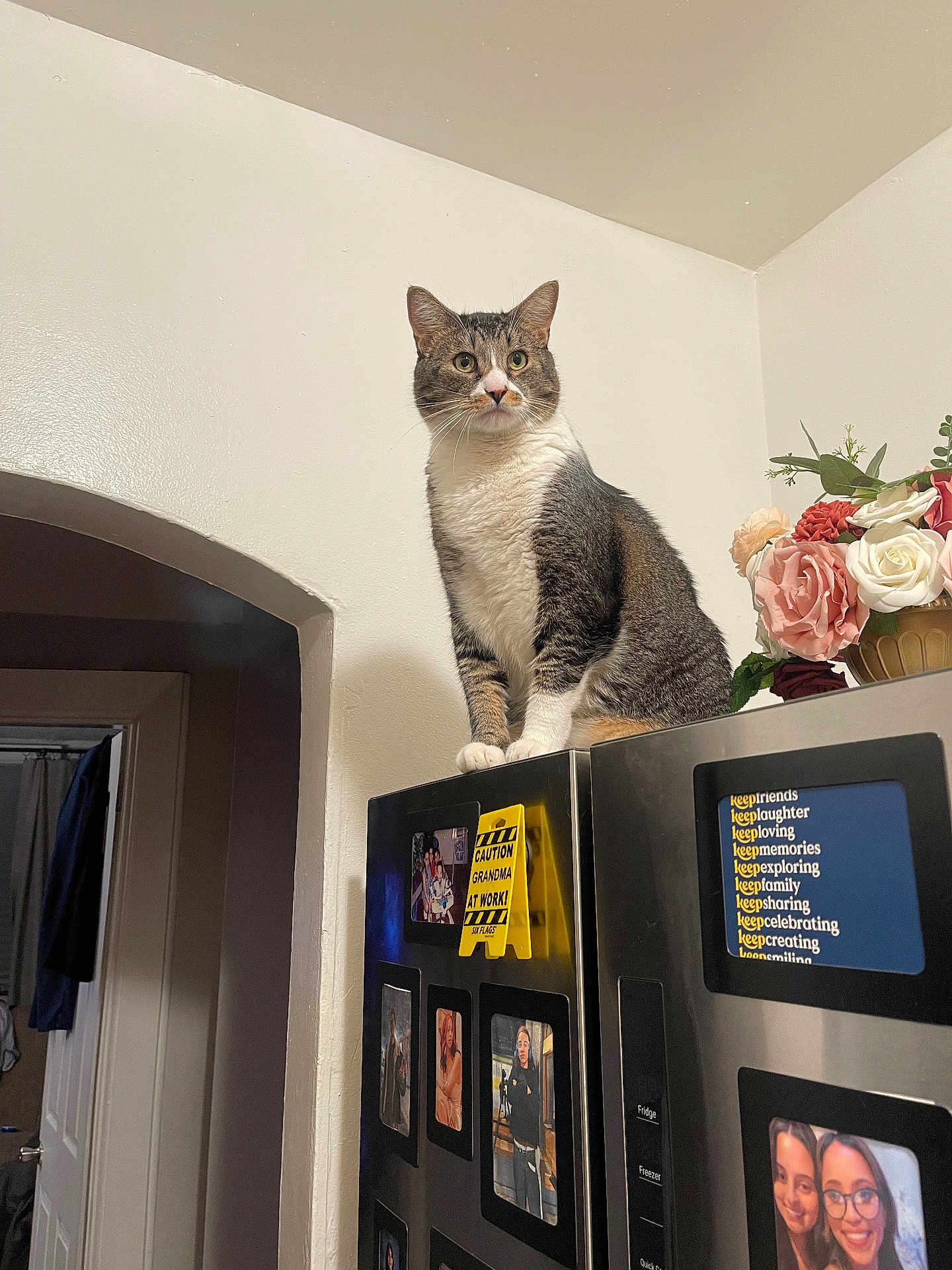 Kat