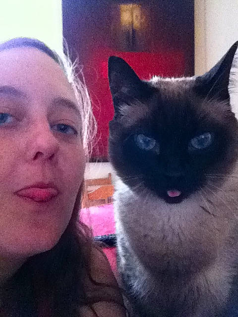 Loulou participe au concours pour gagner de l'argent avec cette photo : black_cat, carnivore, cat, ear, eye, face, felidae, fur, hair, head, iris, kitten, lip, nose, selfie, siamese, sky, small_to_medium_sized_cats, tonkinese, whiskers