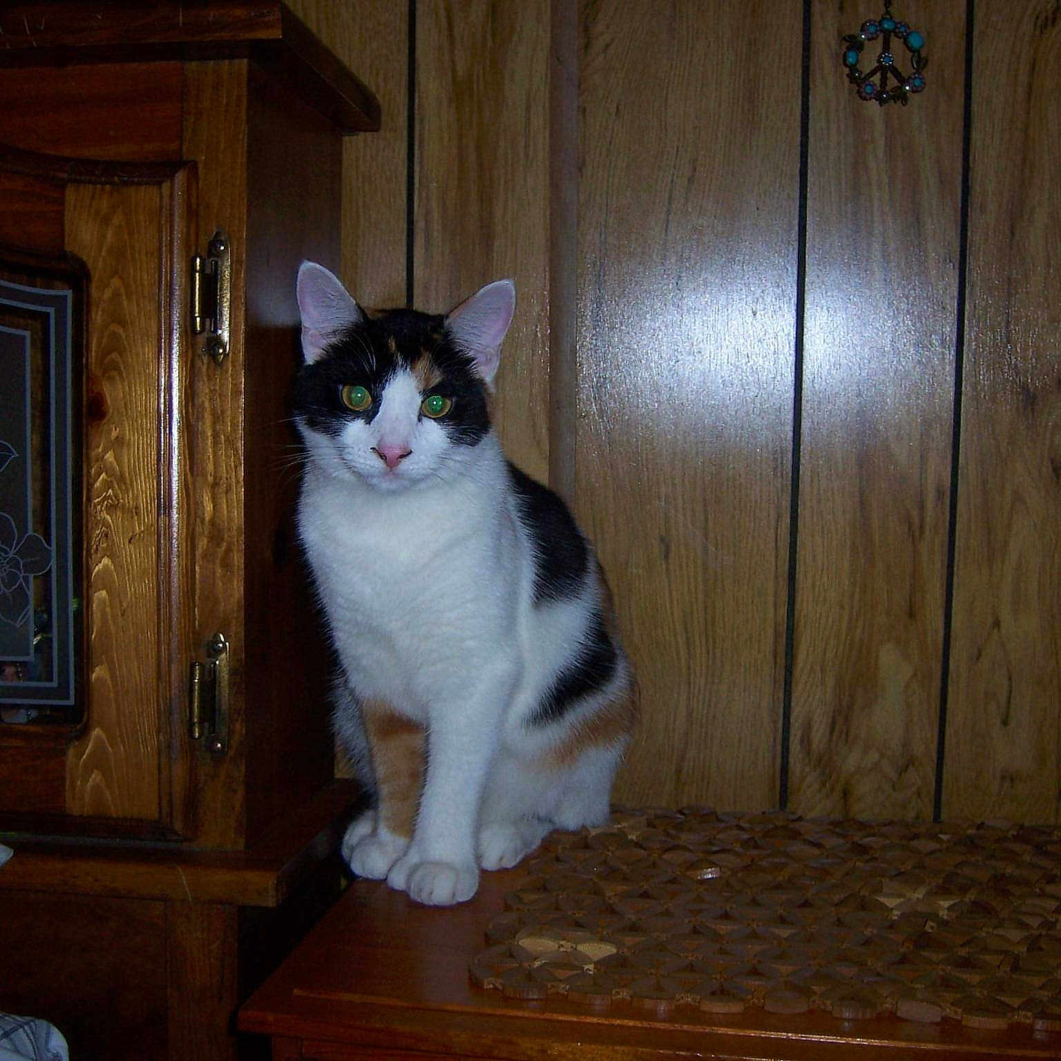 Toots joined the competition — help win amazing prizes!