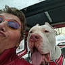 person, dog, selfie, car, window, rain, red_jacket, red_harness, white_dog, glasses, tongue_out, happy, closeup, inside, vehicle, seat, face, pet, companion, playful