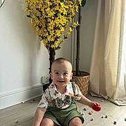 Damian a rejoint le concours — aidez-le/la à gagner de superbes lots ! baby, basket, bow_tie, child, curtains, floor, green_clothing, happy, home, indoor, natural_light, plant, red_egg, shirt, shorts, sitting, smiling, toy, wooden_floor, yellow_flowers