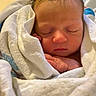 newborn, baby, sleeping, blanket, wrapped, soft, infant, face, hand, peaceful, cute, closeup, skin, resting, indoors, portrait, child, young, cozy, warm