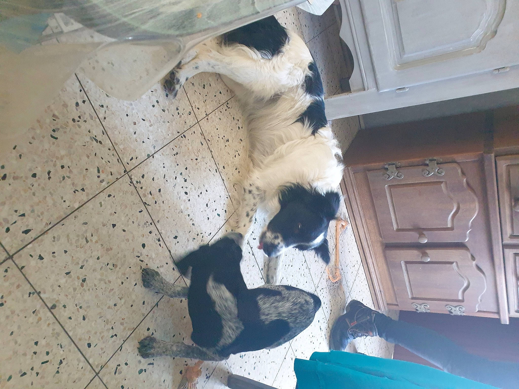 Fidjy a rejoint le concours — aidez-le/la à gagner de superbes lots ! art, building, carving, concrete, facade, flooring, house, pattern, reflection, sculpture, shadow, space, statue, tree, visual_arts, water, wing, winter, wood, world