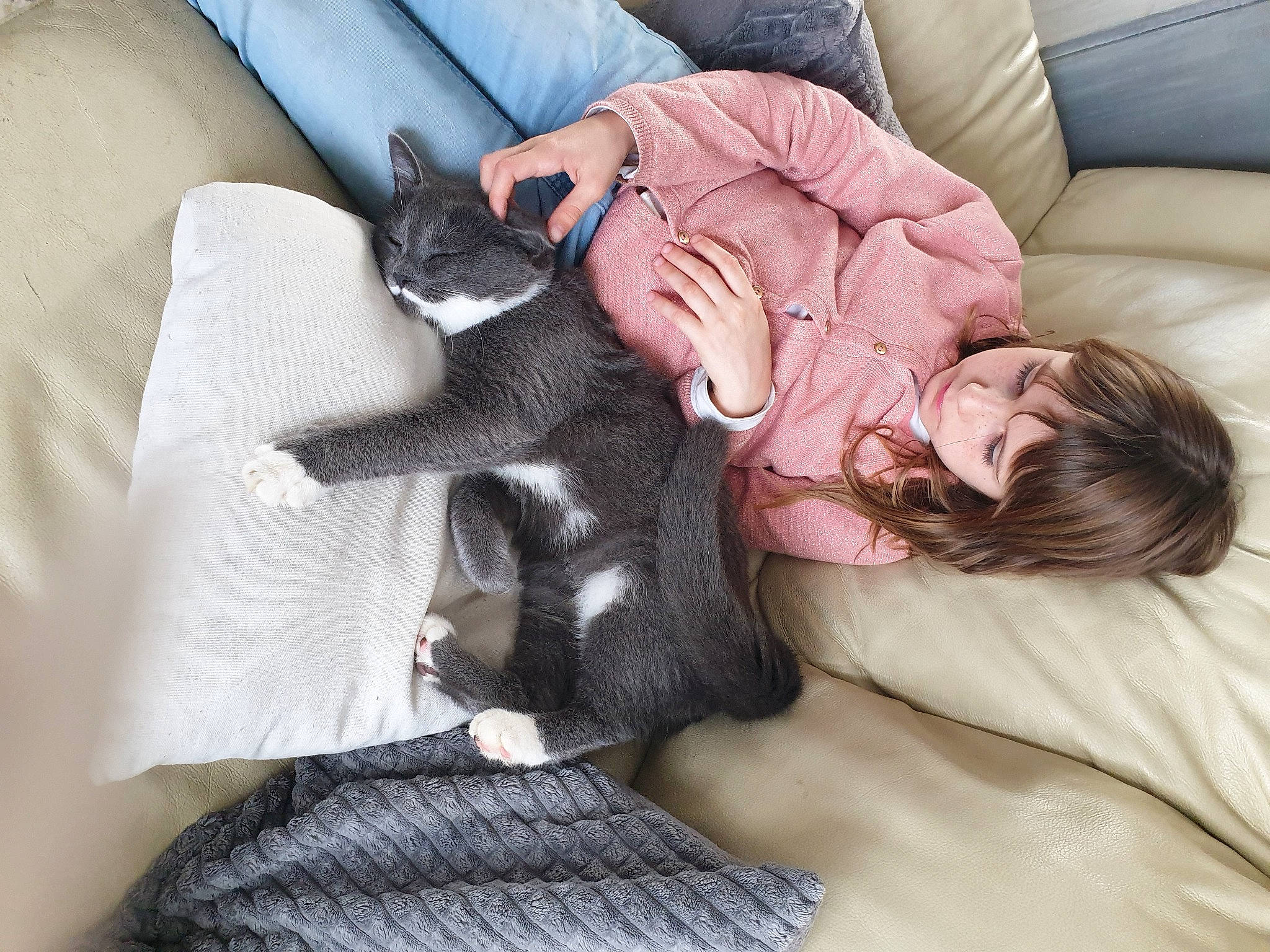Geutz participe au concours pour gagner de l'argent avec cette photo : carnivore, cat, comfort, companion_dog, couch, dog_breed, felidae, finger, fur, furniture, gesture, human_leg, lap, linens, nail, small_to_medium_sized_cats, sporting_group, textile, thigh, whiskers