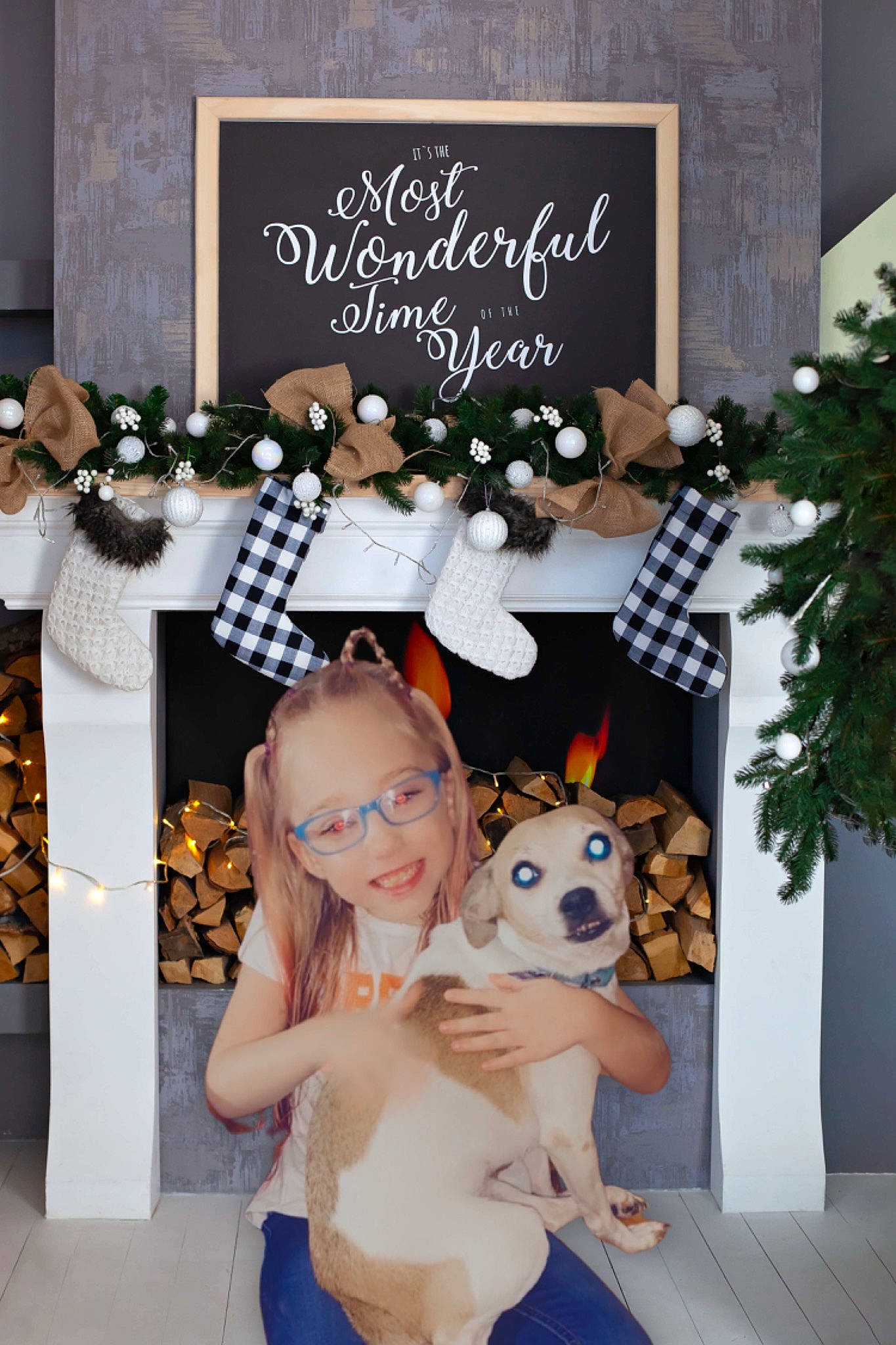 Ily is registered to the contest to win money with this photo: black, christmas_eve, companion_dog, design, dog, event, fawn, floral_design, flower_arranging, font, happy, holiday, joy, pattern, person, plant, room, smile, snapshot, textile