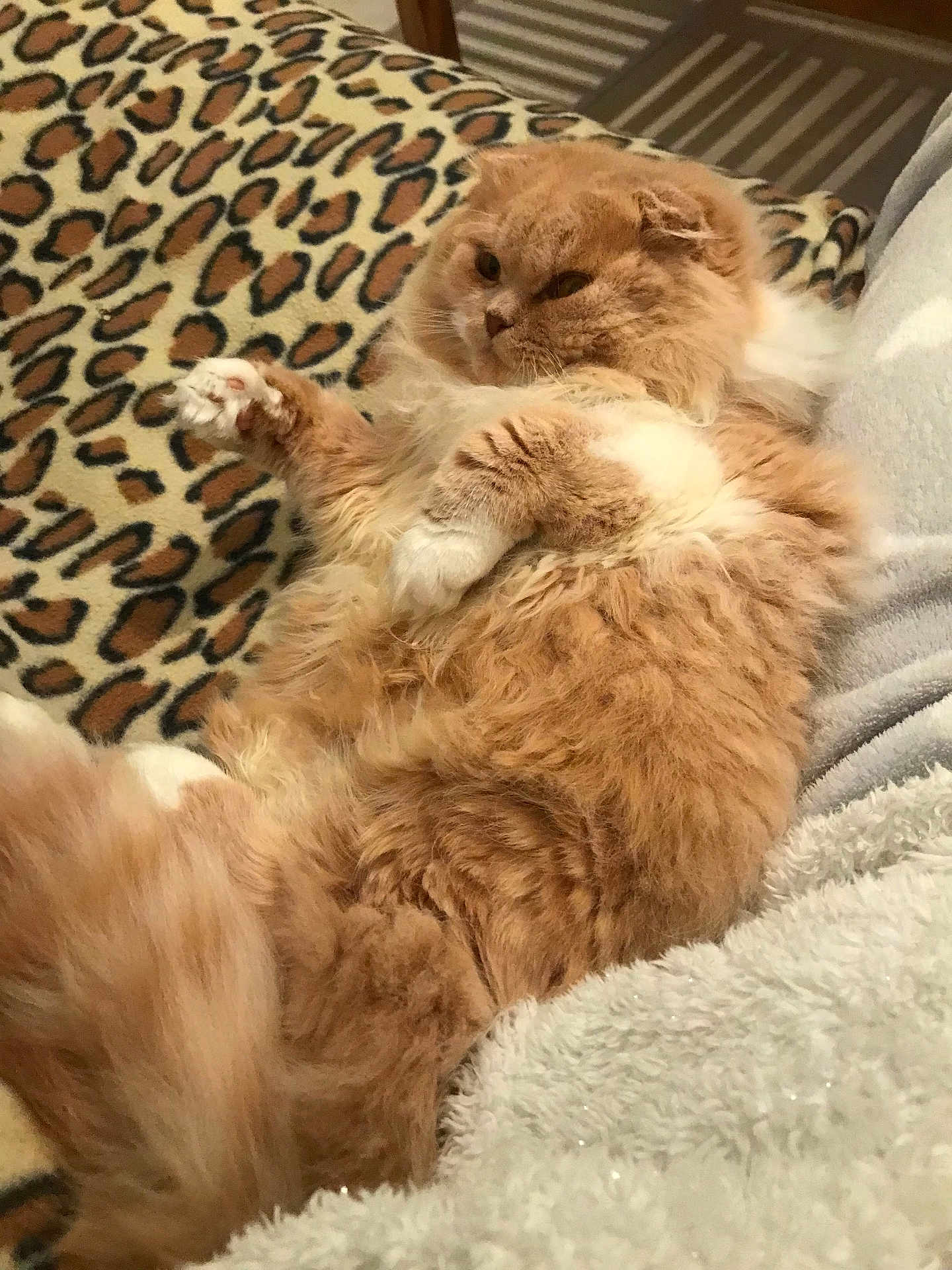 Simba