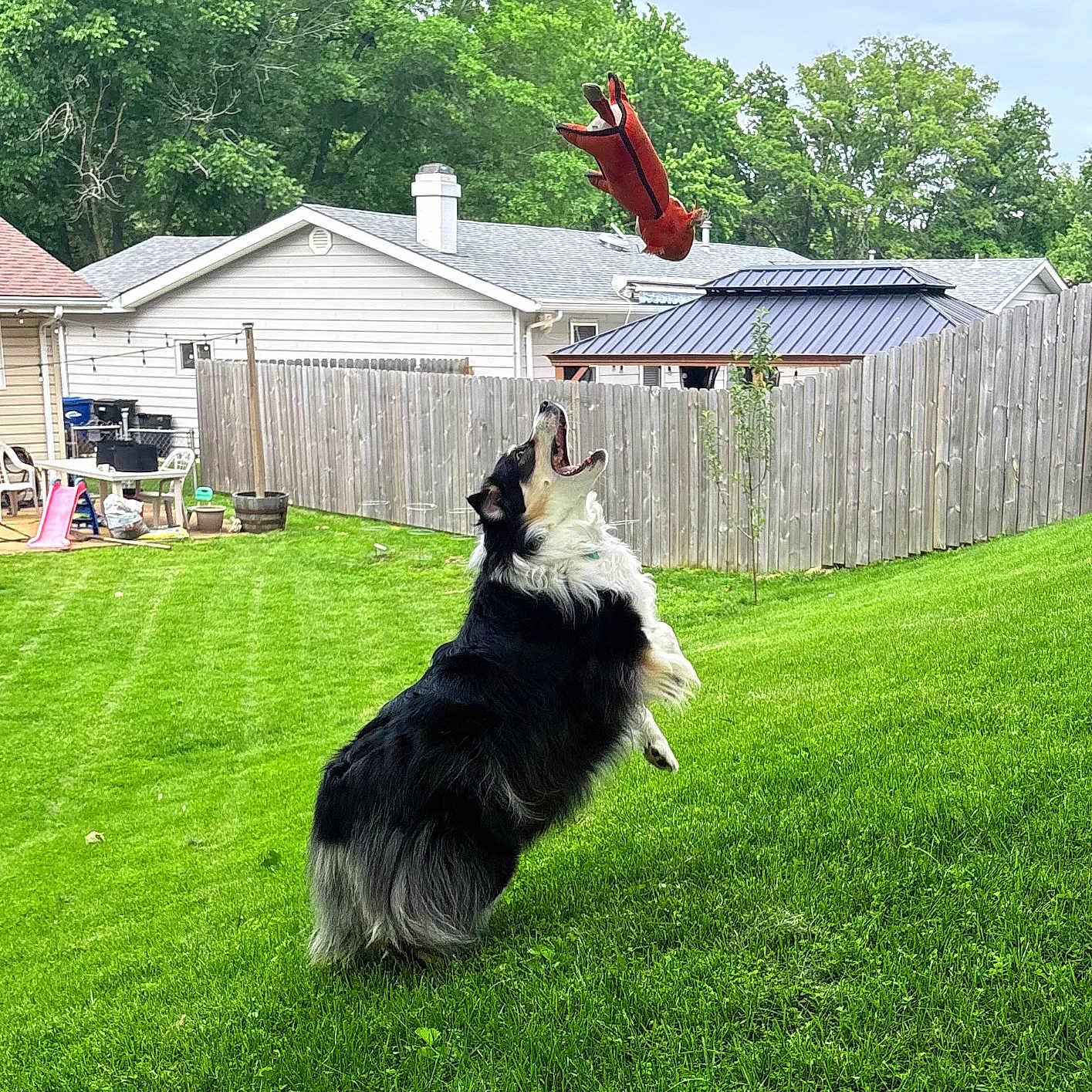 Winnie