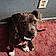 Roxy