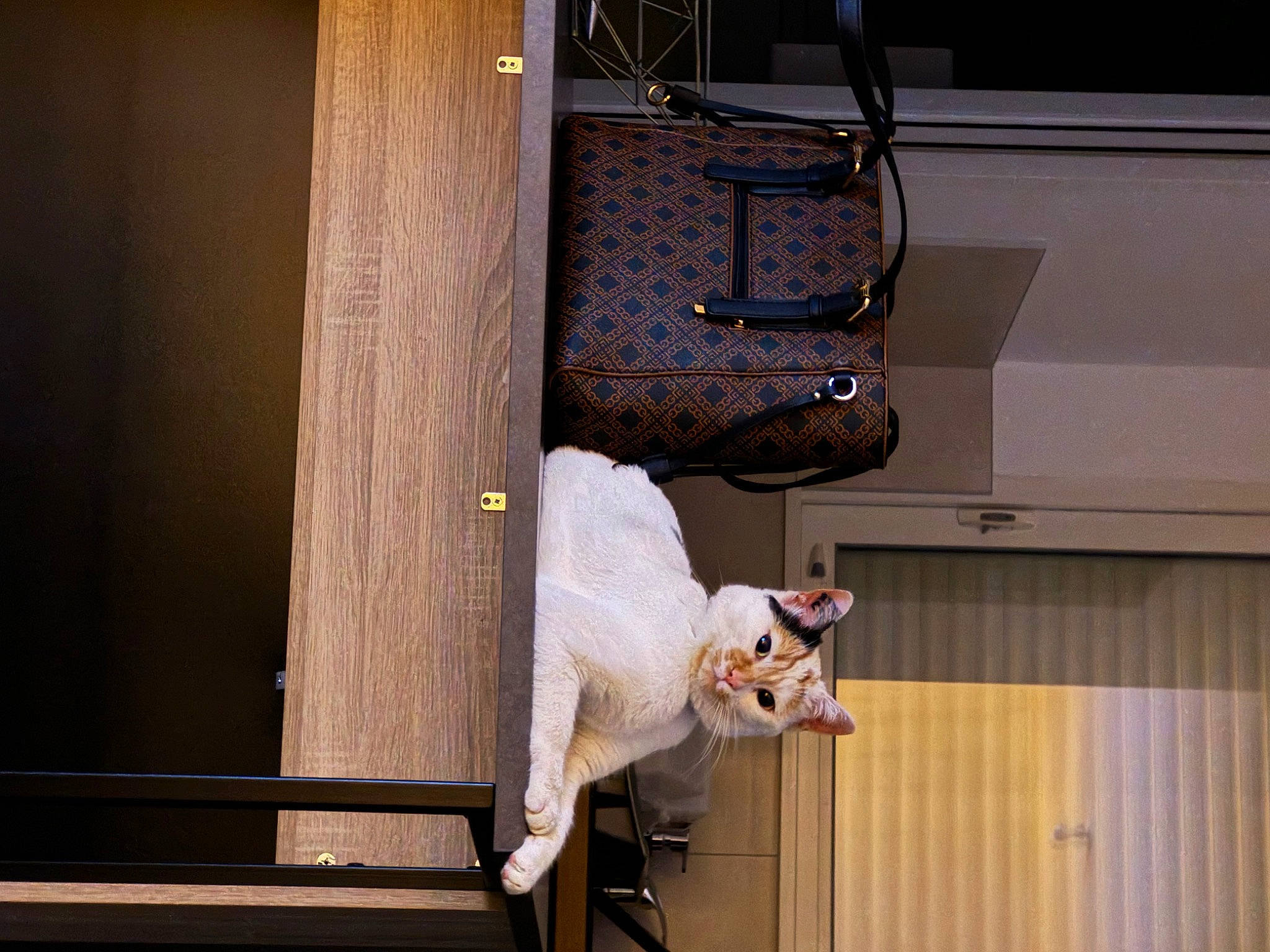 Moon participe au concours pour gagner de l'argent avec cette photo : door, hardwood, machine, metal, room, wood