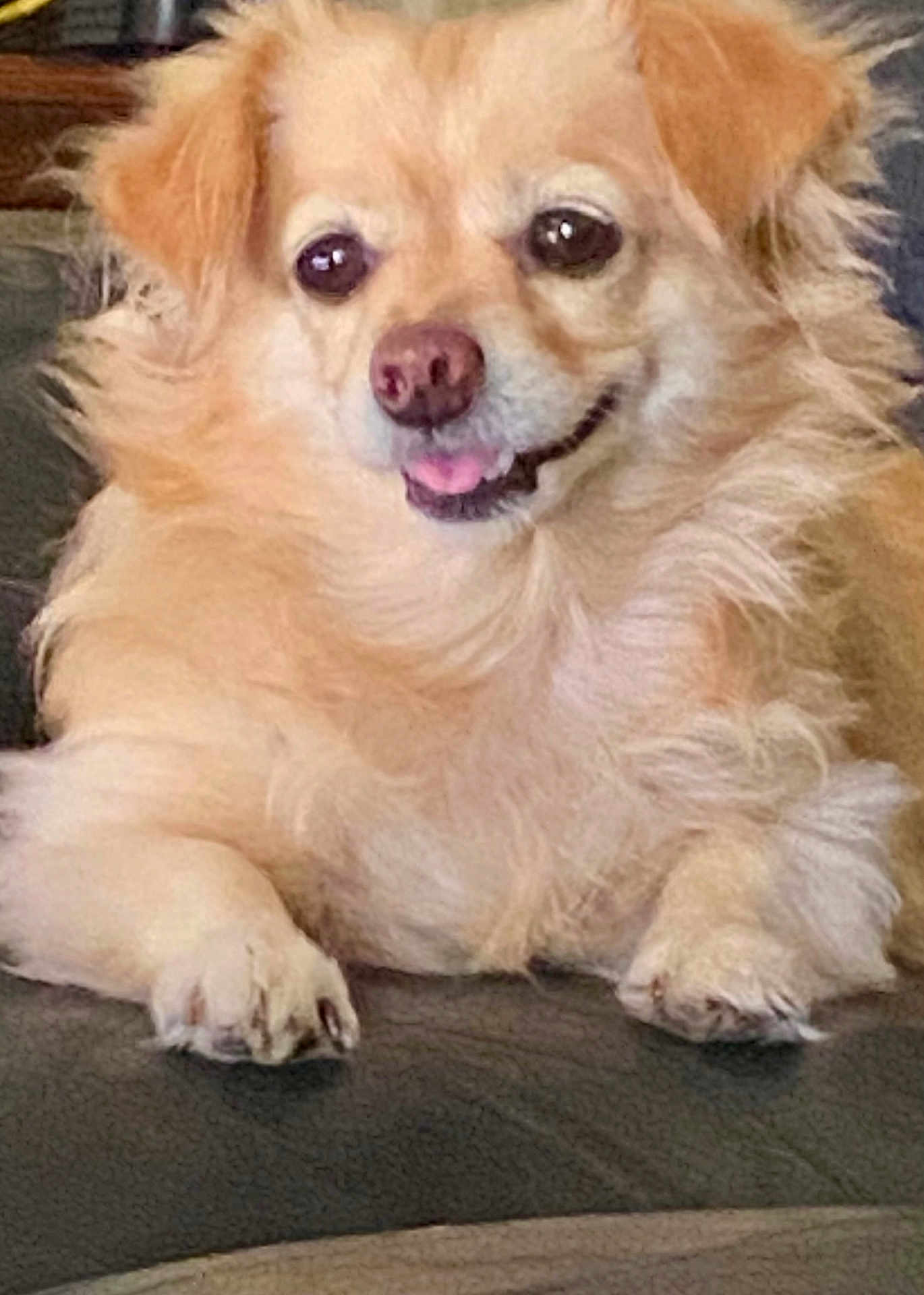 Lacey