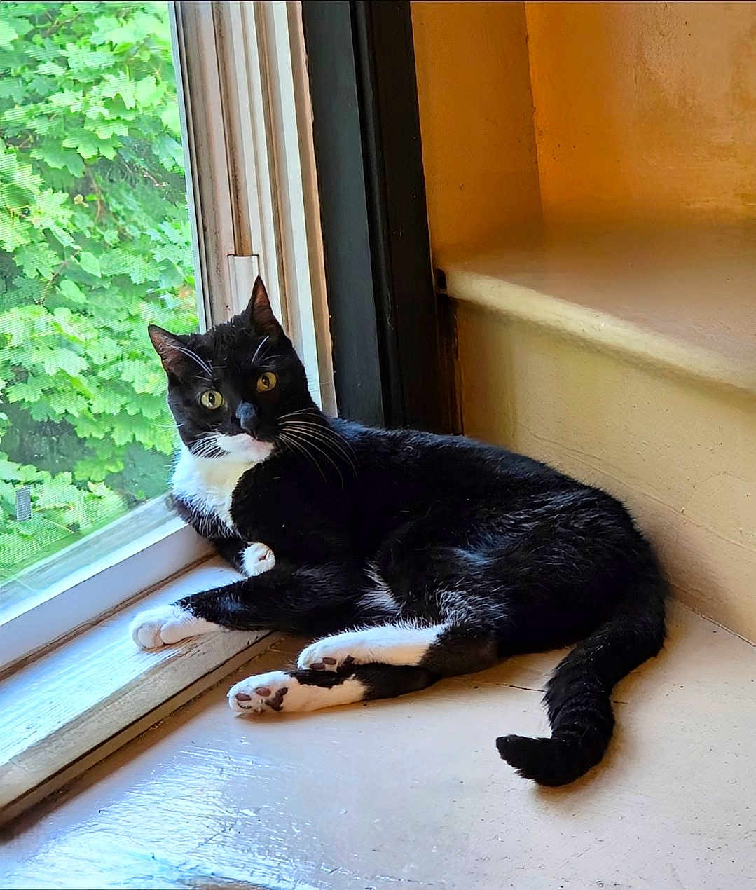 Ethel