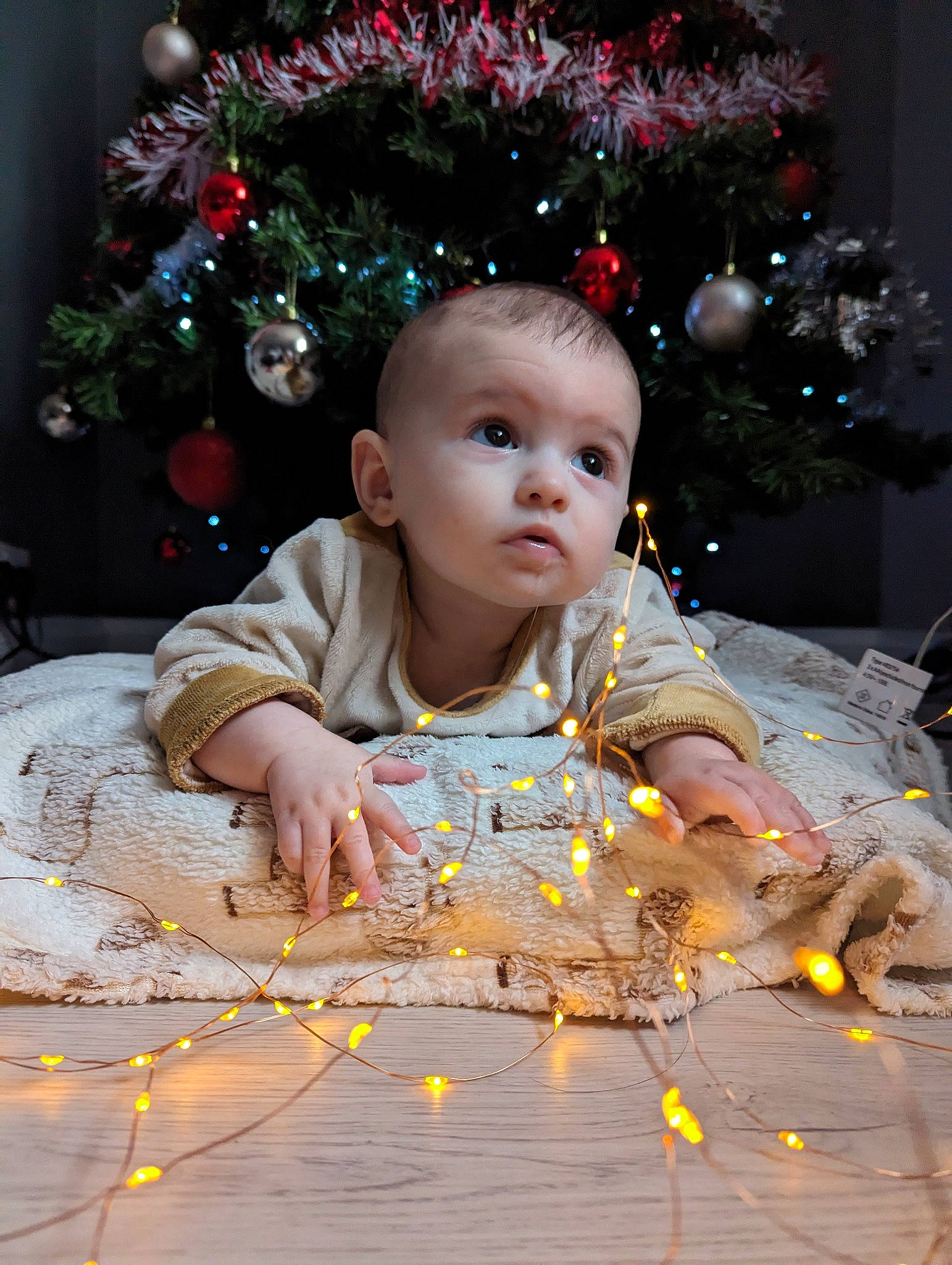 Inês joined the competition — help win amazing prizes! child, christmas, christmas_decoration, christmas_ornament, christmas_tree, curious, event, facial_expression, fun, happy, head, holiday, holiday_ornament, ornament, person, plant, shortstraw_pine, toddler, tree, wood