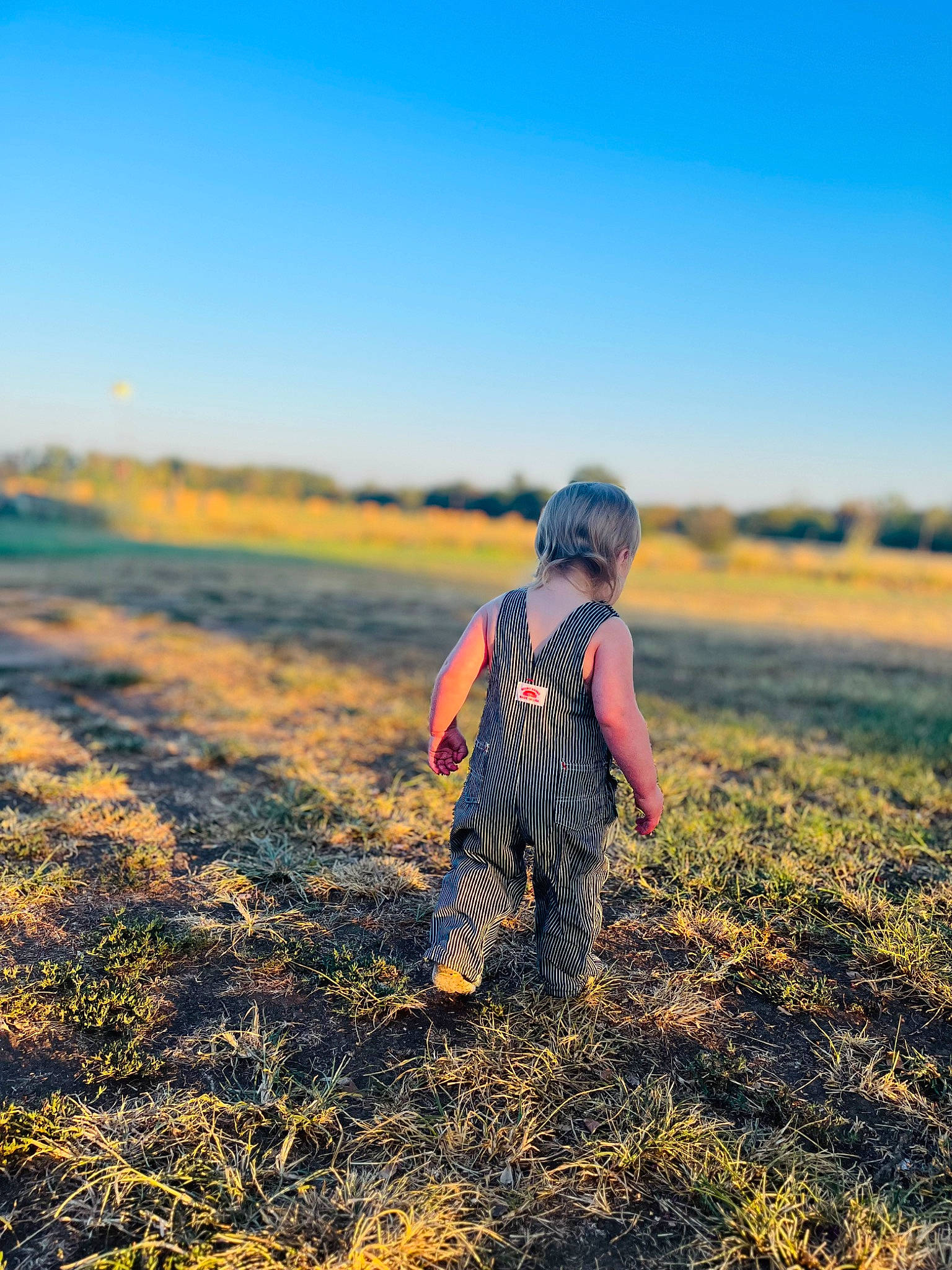 Christopher is registered to the contest to win money with this photo: agriculture, field, fun, grass, grassland, happy, hat, hill, horizon, landscape, meadow, natural_landscape, pasture, people_in_nature, person, plain, prairie, sky, soil, sunset