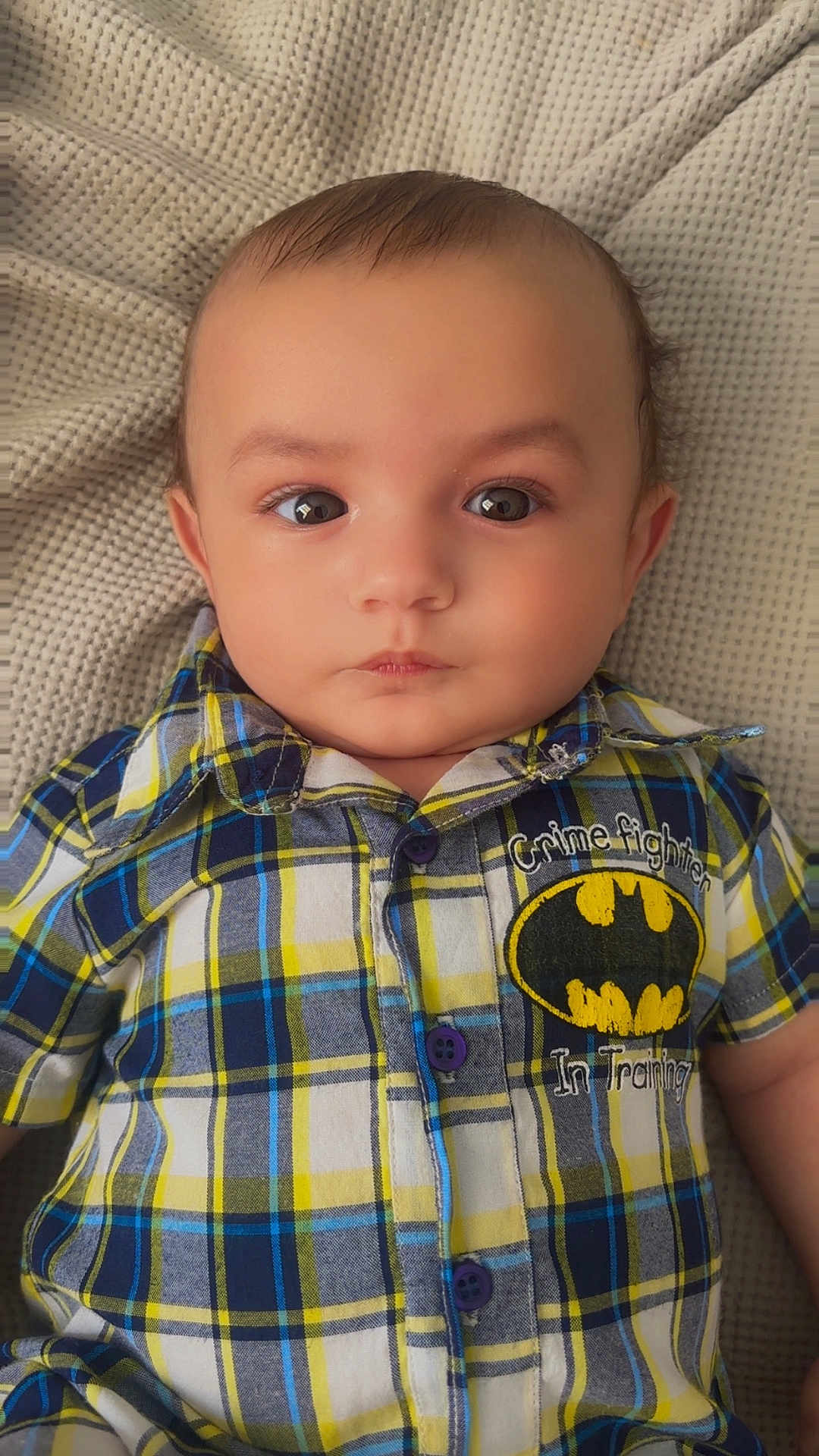 Owyn joined the competition — help win amazing prizes! baby, infant, child, plaid_shirt, batman_logo, crime_fighter_in_training, closeup, portrait, cute, eyes, face, buttoned_shirt, soft_blanket, indoors, young_child, person, casual_clothing, small_hands, looking_at_camera, sitting