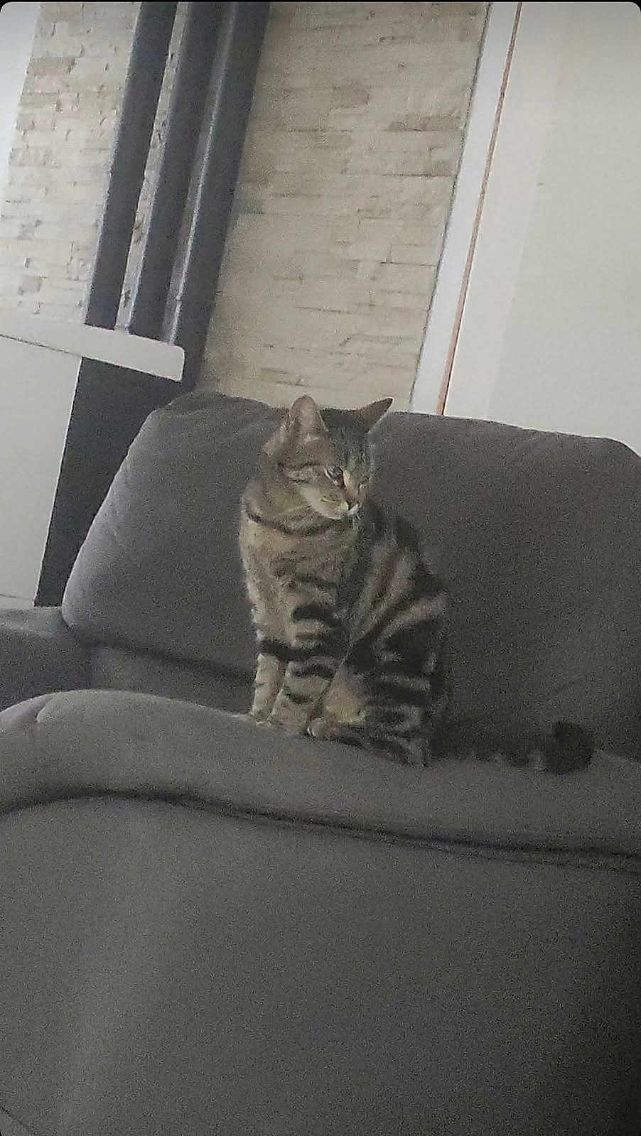Kira