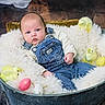 baby, denim_overalls, fluffy_blanket, metal_tub, yellow_chicks, easter_eggs, spring, cute, infant, cozy, portrait, indoor, soft_texture, child, newborn, resting, colorful, decor, holiday, playful