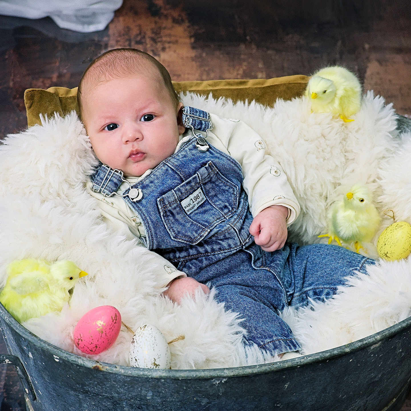 Noa participe au concours pour gagner de l'argent avec cette photo : baby, denim_overalls, fluffy_blanket, metal_tub, yellow_chicks, easter_eggs, spring, cute, infant, cozy, portrait, indoor, soft_texture, child, newborn, resting, colorful, decor, holiday, playful
