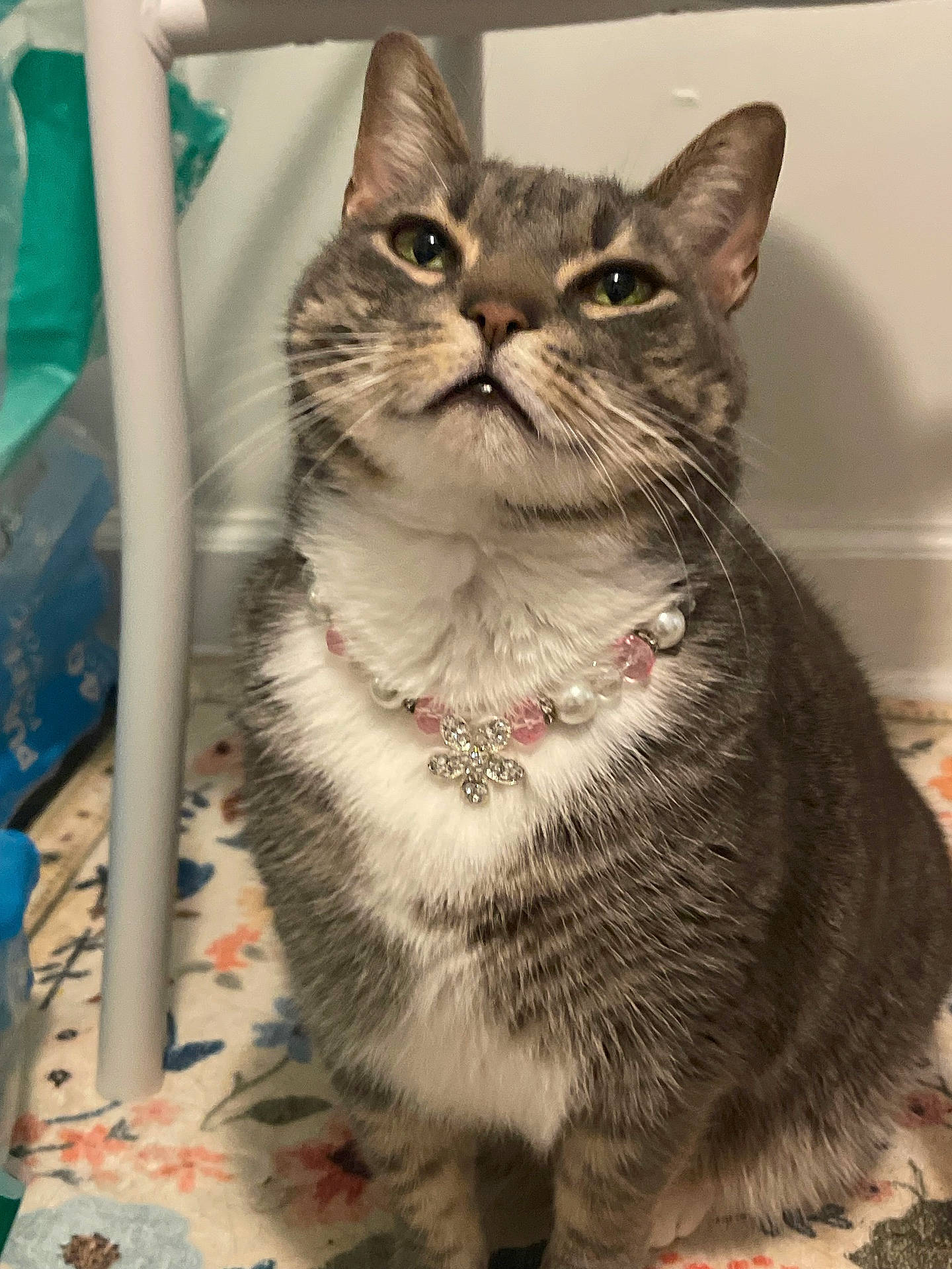 Elsie