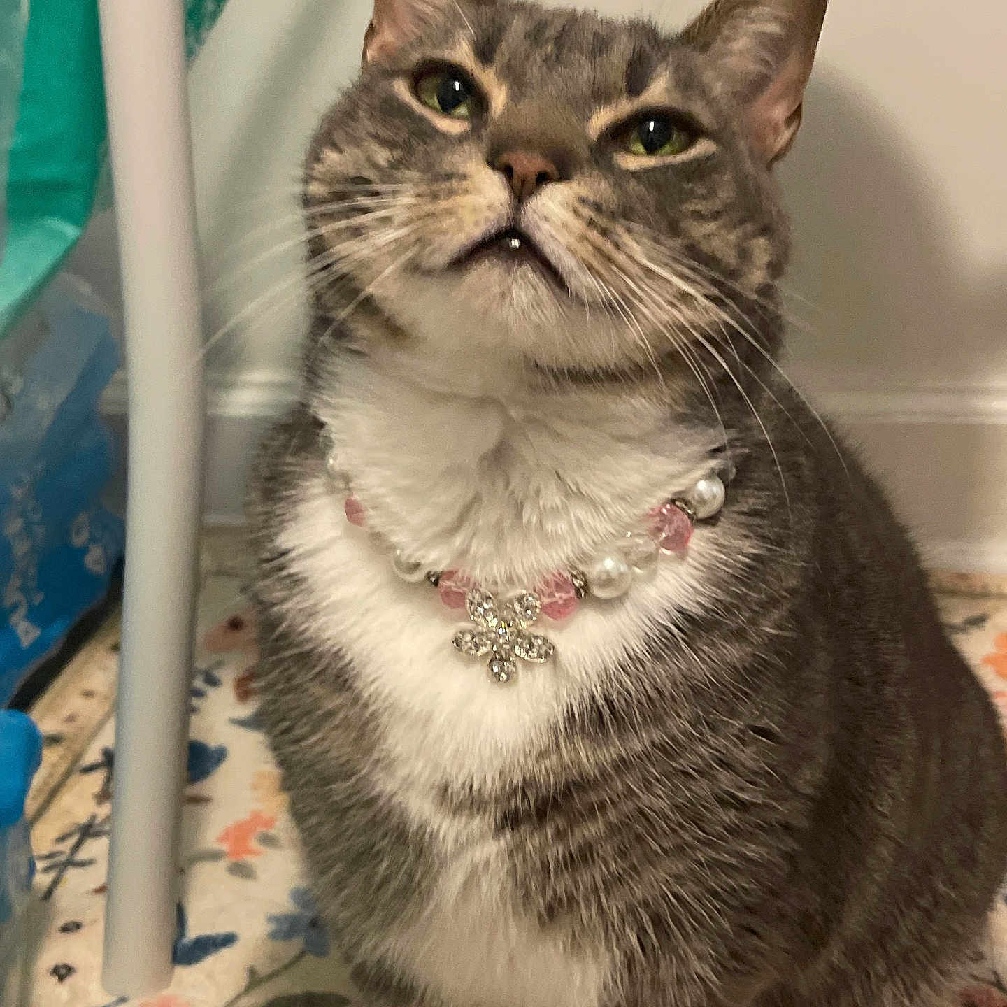Elsie