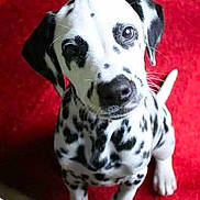 India a rejoint le concours — aidez-le/la à gagner de superbes lots !