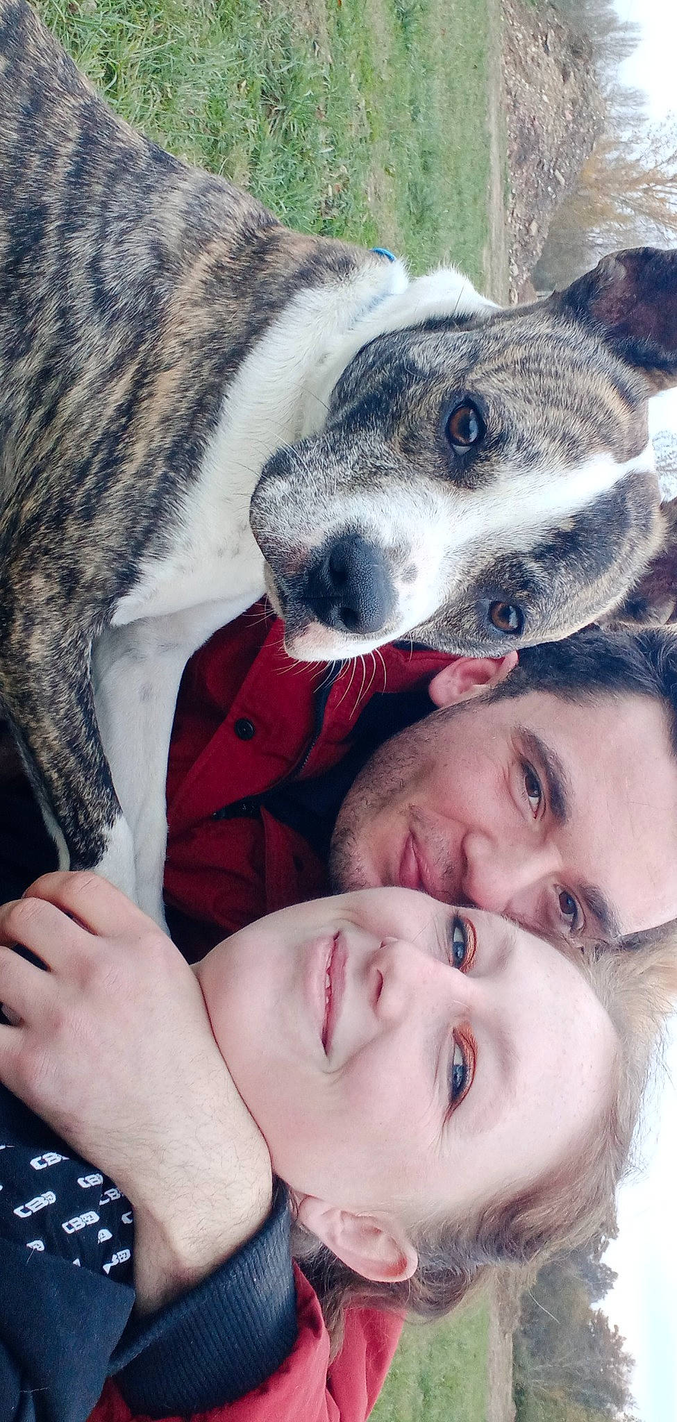 Shaka a rejoint le concours — aidez-le/la à gagner de superbes lots ! australian_cattle_dog, australian_stumpy_tail_cattle_dog, dog, dog_breed, fur, gesture, happy, jaw, laugh, nose, photograph, photography, rock, selfie, smile, snout, terrestrial_animal