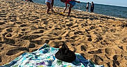 Amir is registered to the contest to win money with this photo: adult, beach, child, daytime, dinosaur_pattern, family, footwear, ocean, outdoor, people, playing, relaxation, sand, shoes, sky, summer, sunny, towel, vacation, water