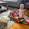 Evelyn is registered to the contest to win money with this photo: baby, child, cat, white_cat, toy, blanket, living_room, smiling, floor, wood_floor, rug, couch, pillow, table, furniture, indoor, happy, person, cute, pet