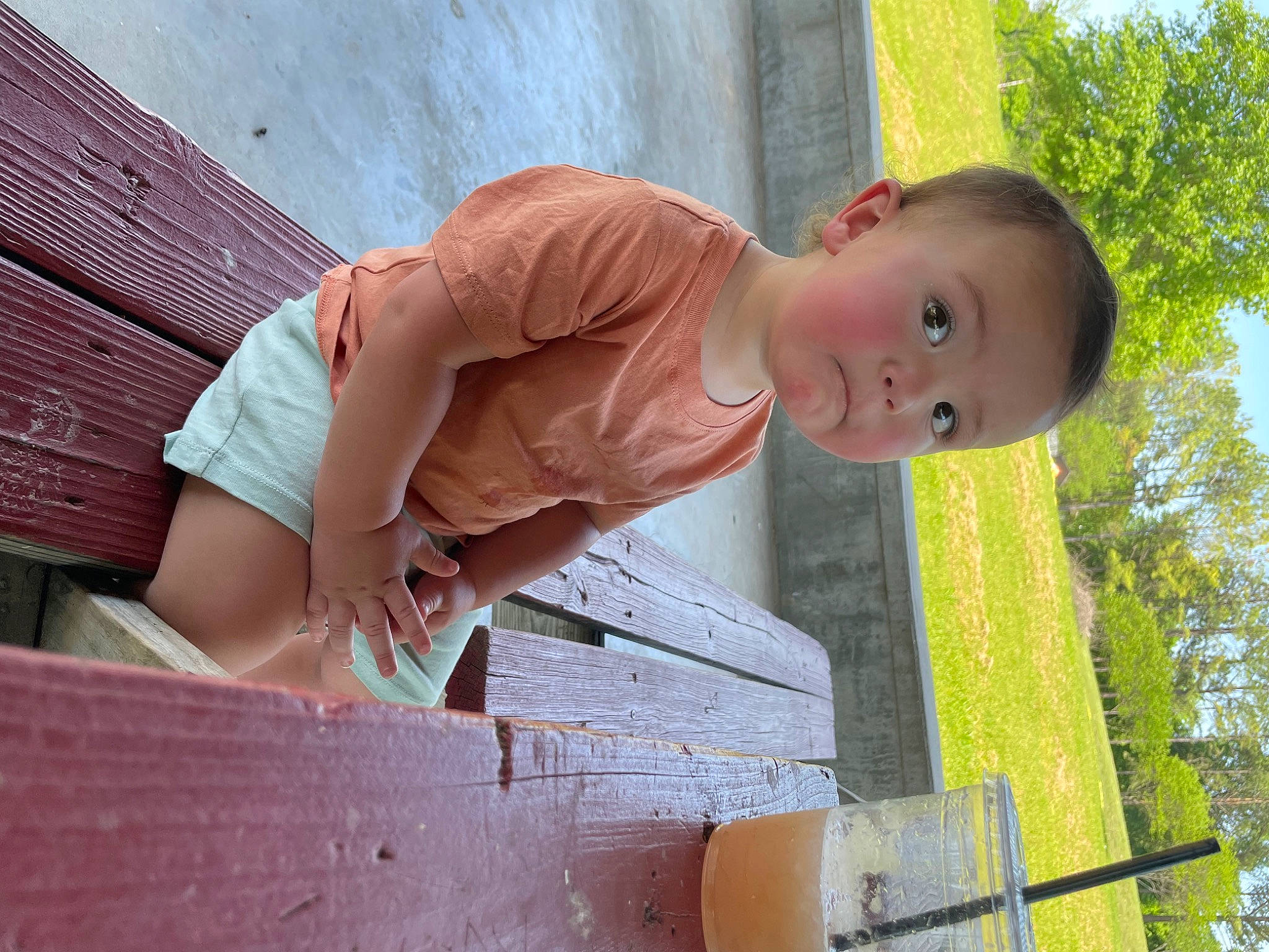 Shannon joined the competition — help win amazing prizes! baby, baby_toddler_clothing, child, fun, grass, hairstyle, happy, leisure, person, pink, plant, sitting, skin, sky, standing, sunglasses, toddler, tree, vacation, wood