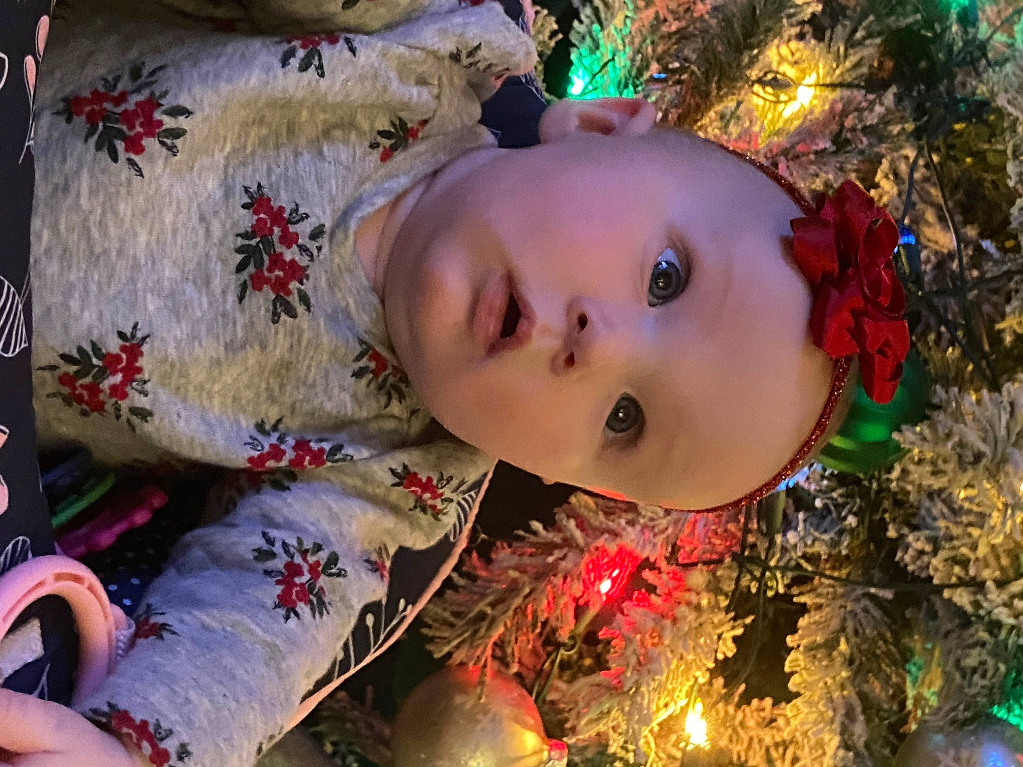 Tinzleigh is registered to the contest to win money with this photo: beauty, christmas, christmas_decoration, christmas_eve, christmas_ornament, christmas_tree, event, happy, holiday, holiday_ornament, leaf, light, ornament, people_in_nature, person, plant, red, surprise, tradition, tree