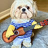 dog, puppy, ukulele, musical_instrument, striped_shirt, yellow_gloves, costume, indoor, carpet, cute, pet, animal, playing_instrument, funny, small_dog, light_brown_fur, white_pants, posing, adorable, home
